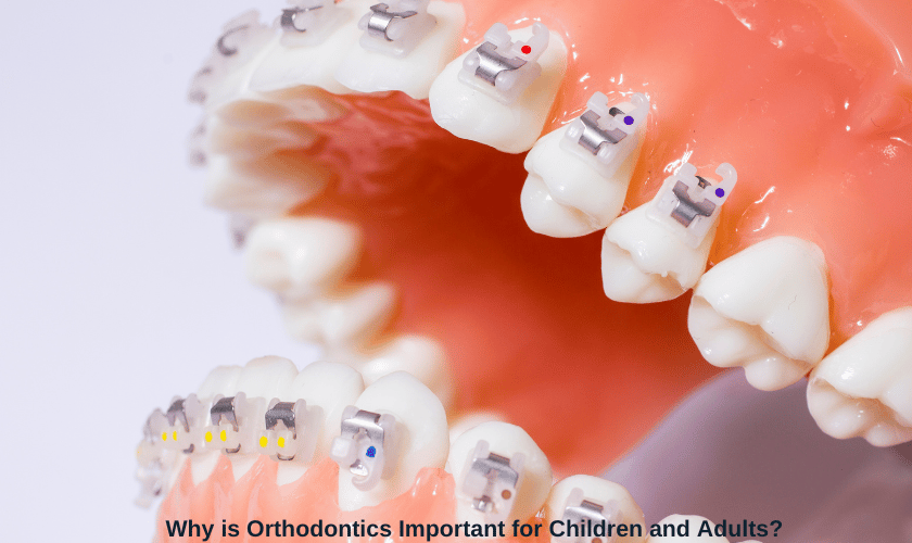 Orthodontics